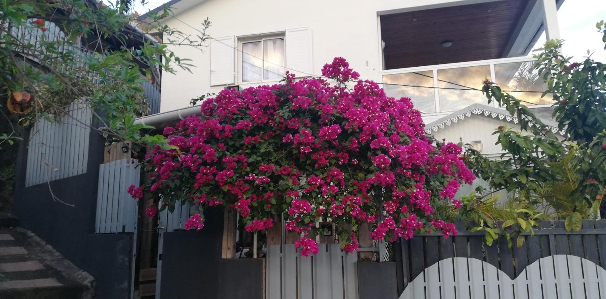 La Caz A Nou Apartment Saint Pierre Exterior photo